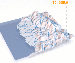 3d view of Towowilo