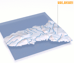 3d view of Walakari