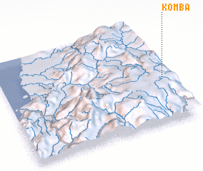 3d view of Komba