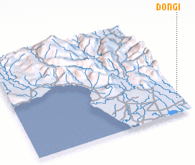 3d view of Dongi