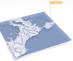 3d view of Biasing