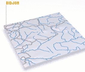 3d view of Bidjom