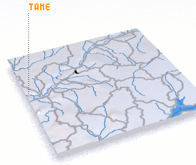 3d view of Tamé