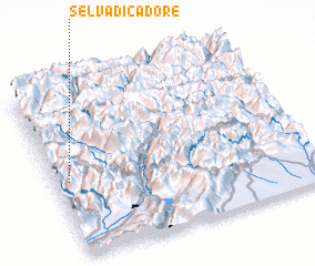 3d view of Selva di Cadore