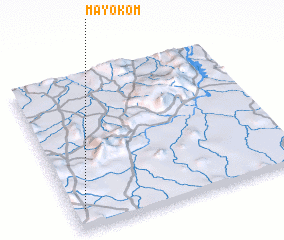 3d view of Mayo Kom