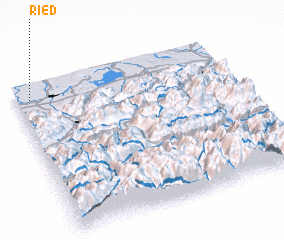 3d view of Ried