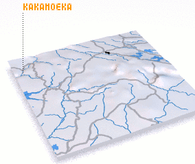 3d view of Kakamoéka