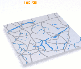 3d view of Lariski