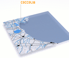 3d view of Coccolia