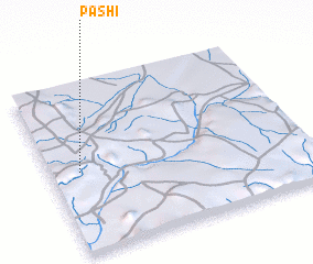 3d view of Pashi