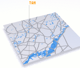 3d view of Tam