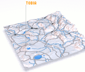 3d view of Tobia