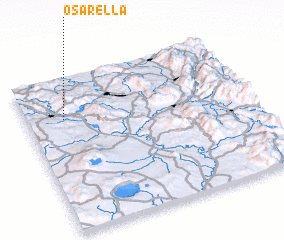 3d view of Osarella