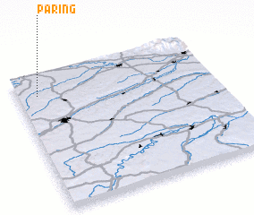 3d view of Paring