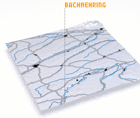 3d view of Bachmehring