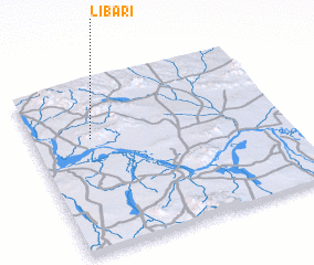 3d view of Libari