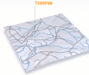 3d view of Tsonfwa