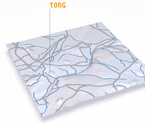 3d view of Tong