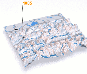 3d view of Moos