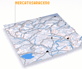 3d view of Mercato Saraceno