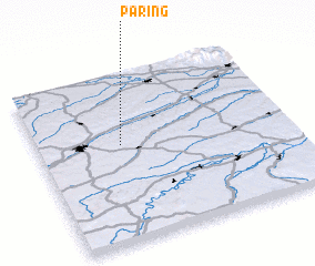 3d view of Paring