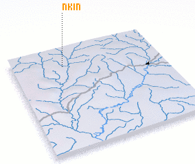 3d view of Nkin