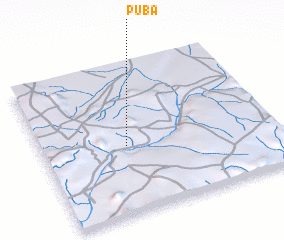 3d view of Puba