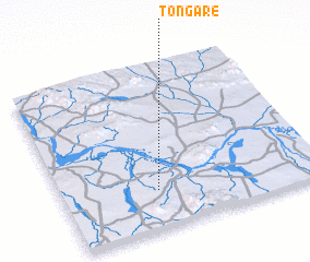 3d view of Tongare