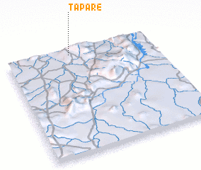 3d view of Tapare