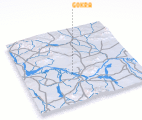 3d view of Gokra