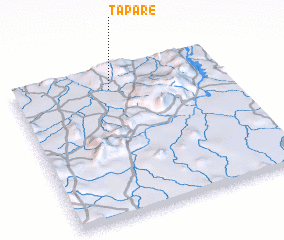 3d view of Tapare