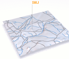 3d view of Sali