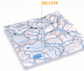 3d view of Gallese