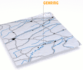 3d view of Gehring