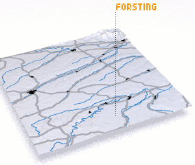 3d view of Forsting