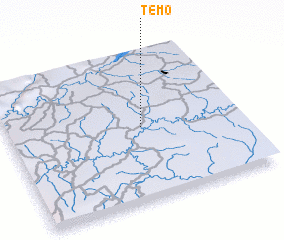 3d view of Témo