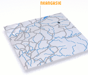 3d view of Nkangasié