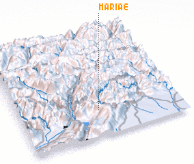 3d view of Mariae