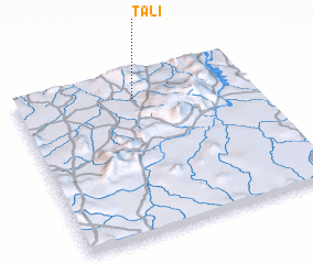 3d view of Tali