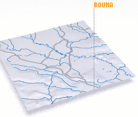 3d view of Bouma