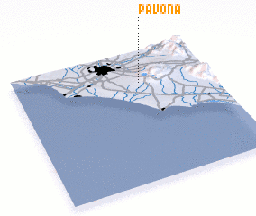 3d view of Pavona