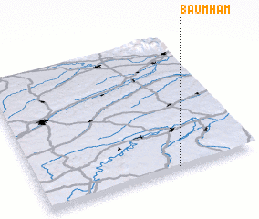 3d view of Baumham