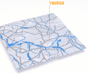 3d view of Yaungo
