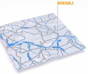 3d view of Wuro Ali