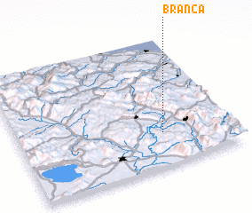 3d view of Branca