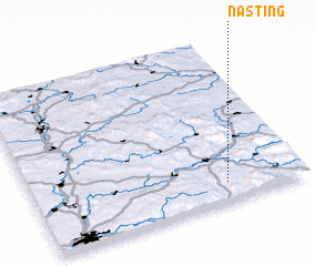 3d view of Nasting