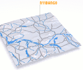 3d view of Nyibango