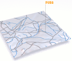 3d view of Puba