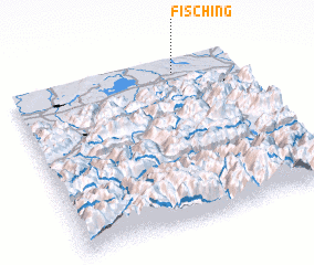 3d view of Fisching