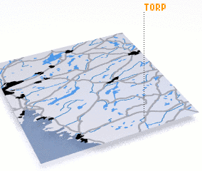 3d view of Torp